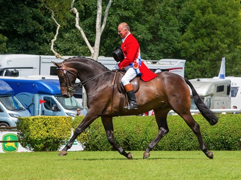 The British Horse Society Supreme Horse Championship