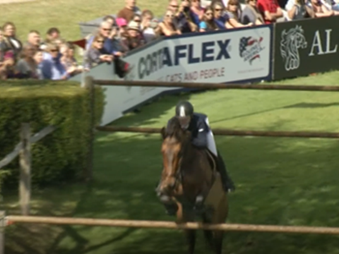 Nigel Coupe and Golvers Hill's winning Hickstead Derby round 2017 