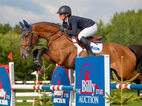 Jessica Burke & Billy Be Boss - The Billy Stud Auction 6 Year Old Star Of The Future